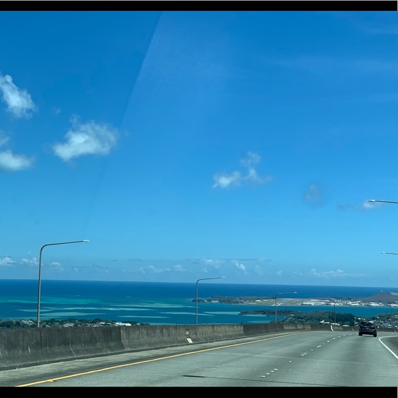 Meet your Posher, Shayla - Picture 11 of 16